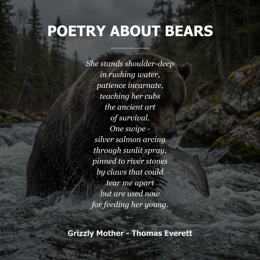Poetry about Poetry About Bears - Social Card
